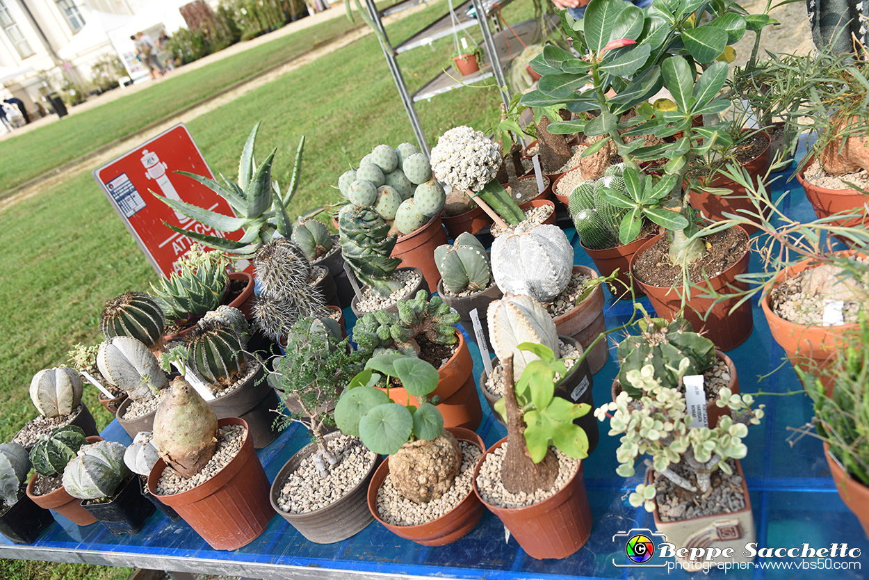 VBS_3611 - Floreal 2023 - Vivere con le piante.jpg